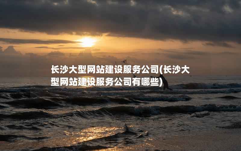 长沙大型网站建设服务公司，长沙大型网站建设服务公司有哪些
