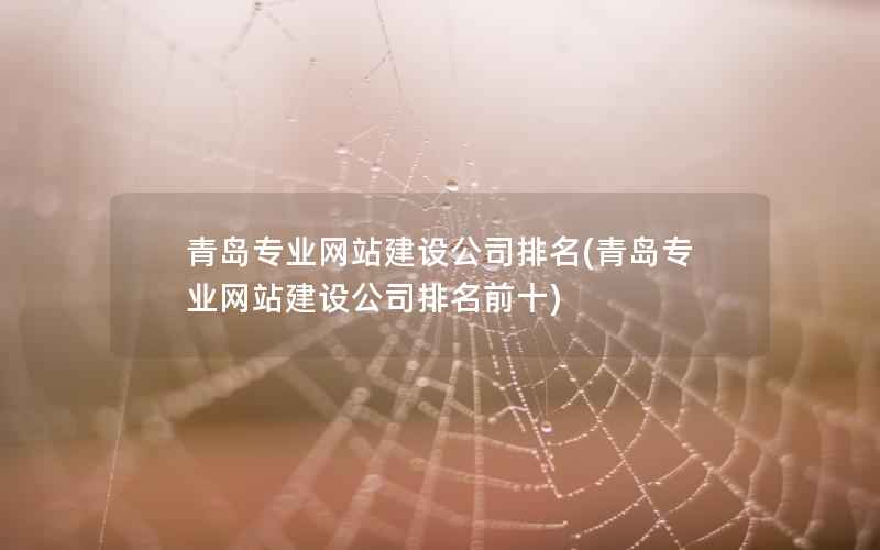 青岛专业网站建设公司排名，青岛专业网站建设公司排名前十