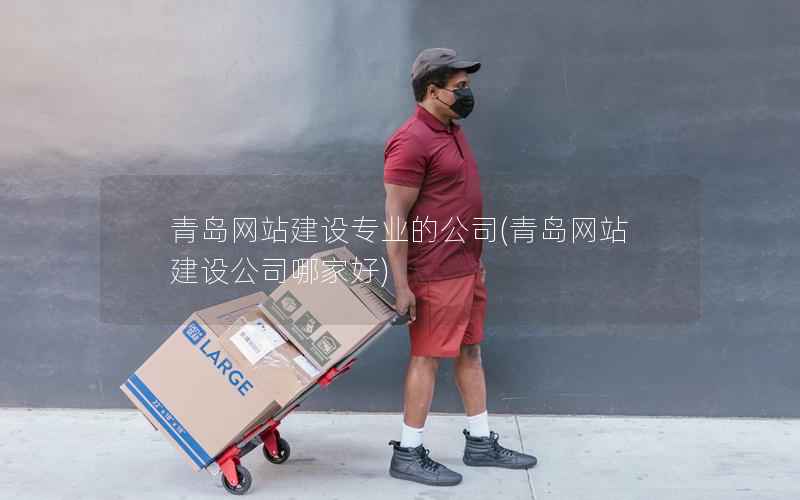 青岛网站建设专业的公司，青岛网站建设公司哪家好