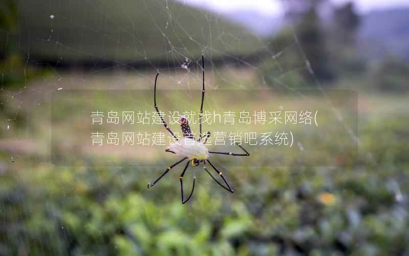 青岛网站建设就找h青岛博采网络，青岛网站建设首选营销吧系统
