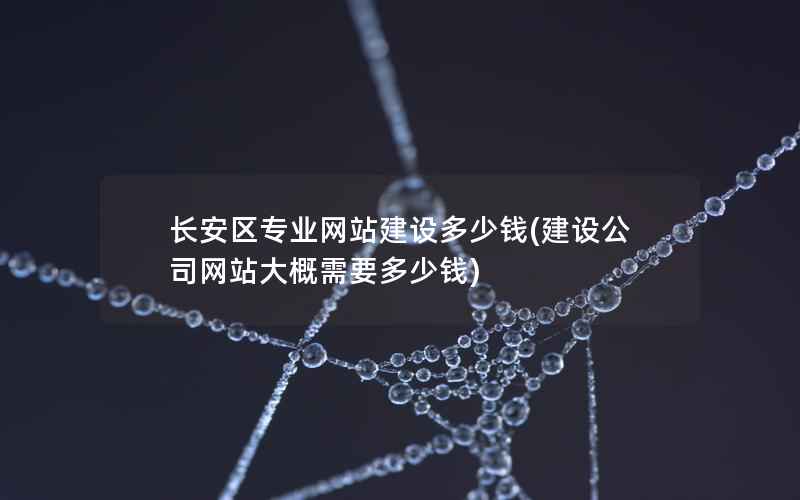 长安区专业网站建设多少钱，建设公司网站大概需要多少钱