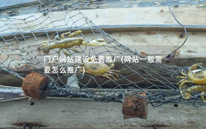门户网站建设免费推广，网站一般需要怎么推广