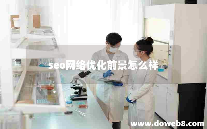 seo网络优化前景怎么样