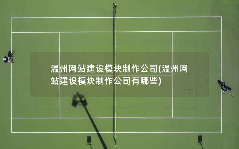 温州网站建设模块制作公司，温州网站建设模块制作公司有哪些