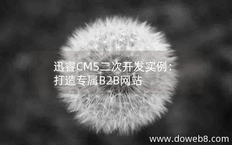 迅睿cms二次开发实例：打造专属B2B网站