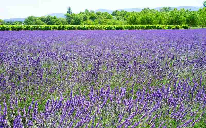杭州品牌建设与关键词排名的关系
