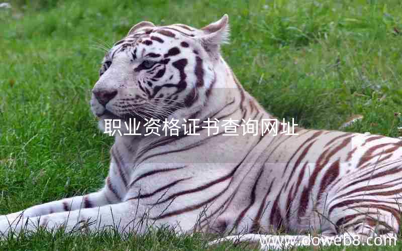 职业资格证书查询网址