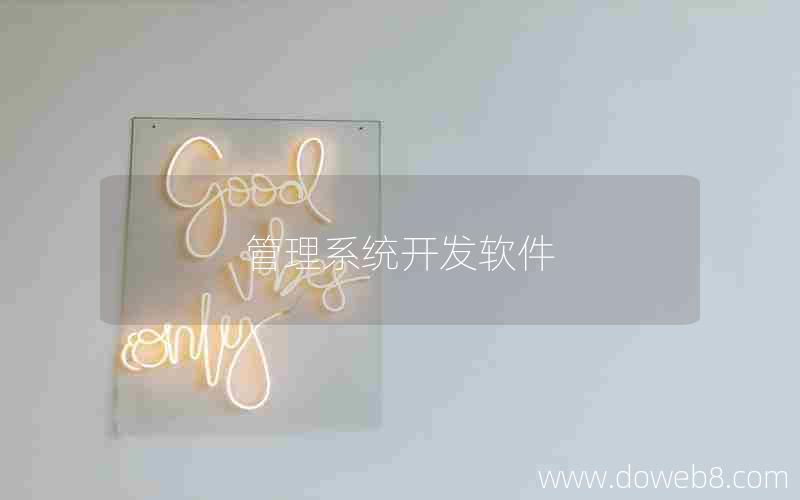 管理系统开发软件