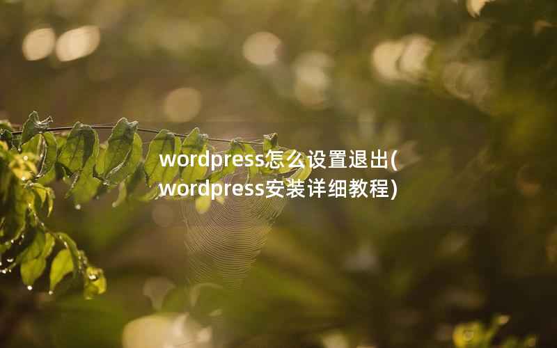 WordPress怎么设置退出，WordPress安装详细教程