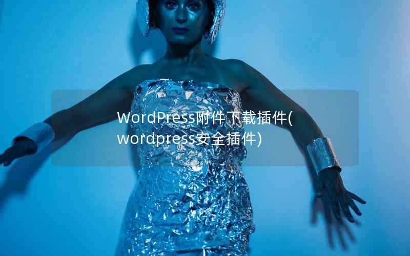 WordPress附件下载插件，WordPress安全插件
