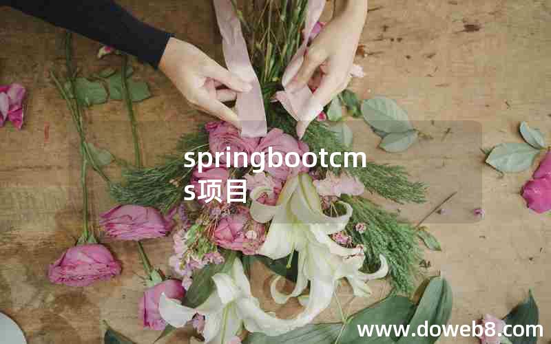springbootcms项目