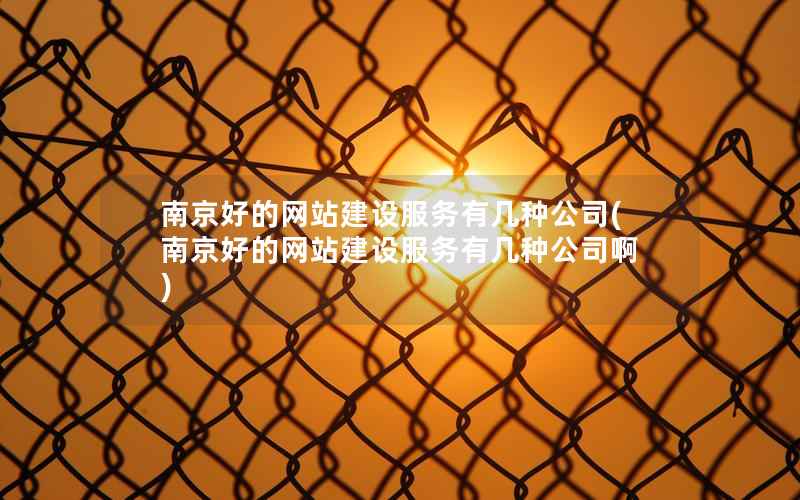 南京好的网站建设服务有几种公司，南京好的网站建设服务有几种公司啊