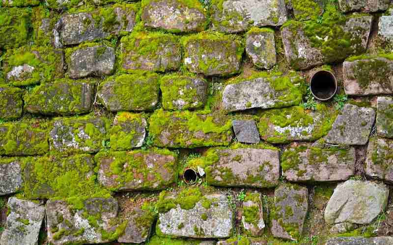 HTTPS对SEO排名的影响有多大