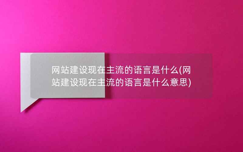 网站建设现在主流的语言是什么，网站建设现在主流的语言是什么意思