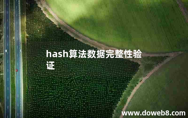 hash算法数据完整性验证