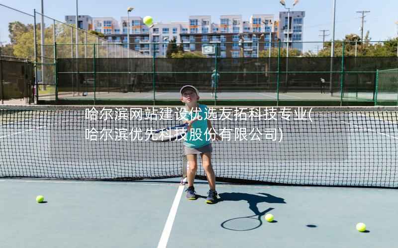 哈尔滨网站建设优选友拓科技专业，哈尔滨优先科技股份有限公司