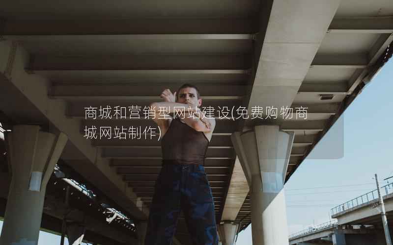 商城和营销型网站建设，免费购物商城网站制作