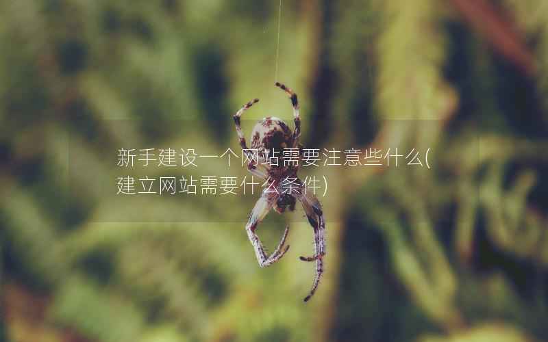 新手建设一个网站需要注意些什么，建立网站需要什么条件