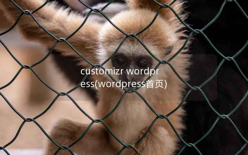 customizr WordPress，WordPress首页