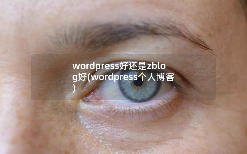 WordPress好还是zblog好，WordPress个人博客