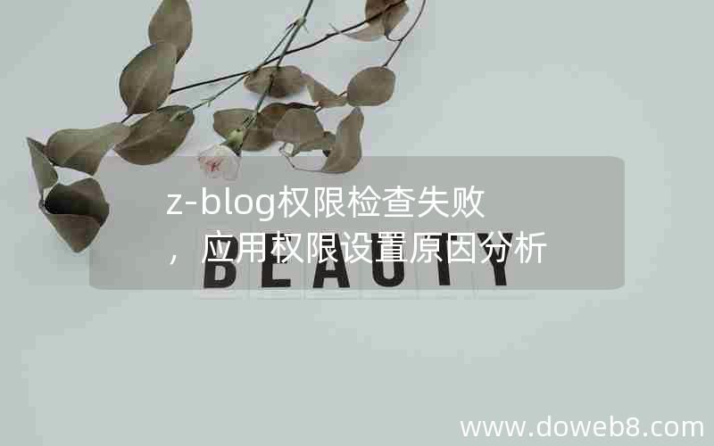 Z-Blog权限检查失败，应用权限设置原因分析