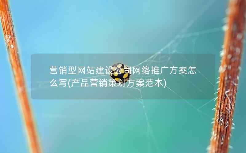 营销型网站建设公司网络推广方案怎么写，产品营销策划方案范本