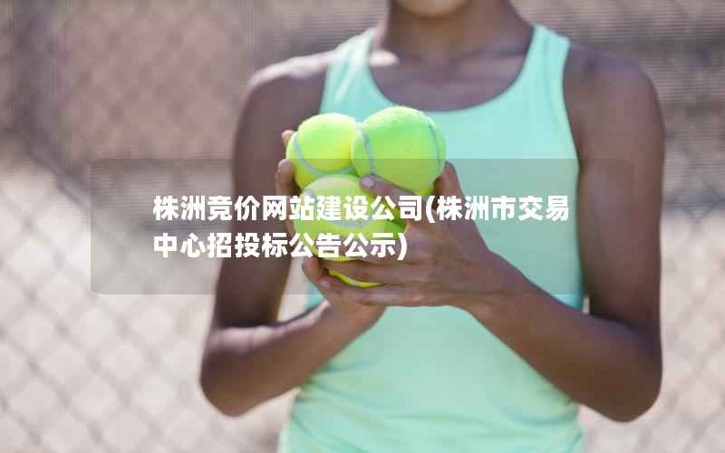 株洲竞价网站建设公司，株洲市交易中心招投标公告公示