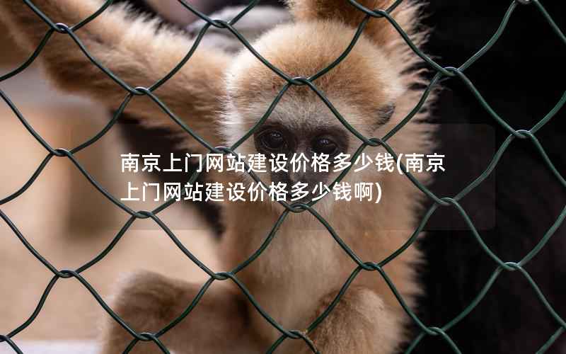 南京上门网站建设价格多少钱，南京上门网站建设价格多少钱啊