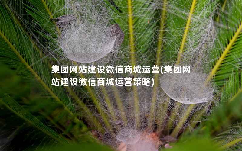 集团网站建设微信商城运营，集团网站建设微信商城运营策略