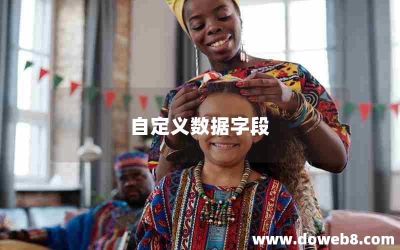 自定义数据字段