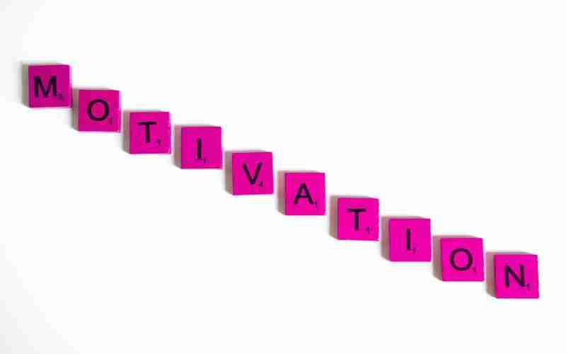 怎么用网站建设 怎么样建网站