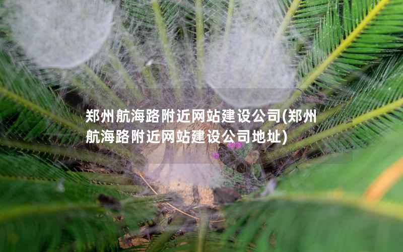 郑州航海路附近网站建设公司，郑州航海路附近网站建设公司地址