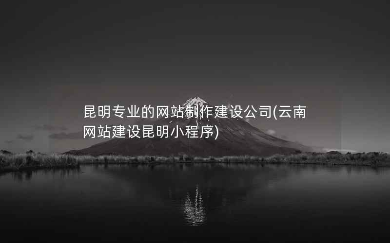 昆明专业的网站制作建设公司，云南网站建设昆明小程序