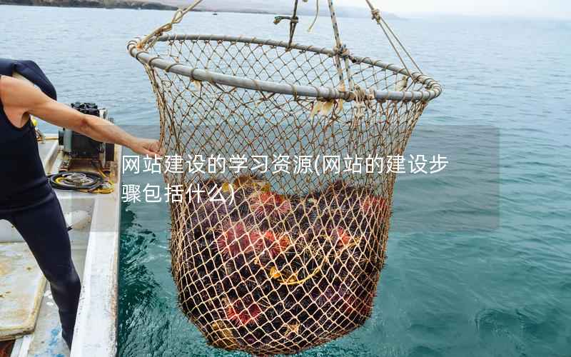 网站建设的学习资源，网站的建设步骤包括什么