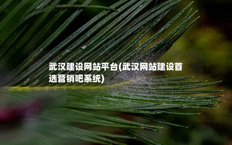 武汉建设网站平台，武汉网站建设首选营销吧系统