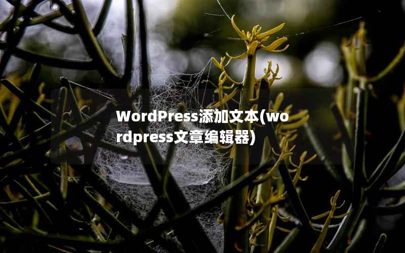WordPress添加文本，WordPress文章编辑器