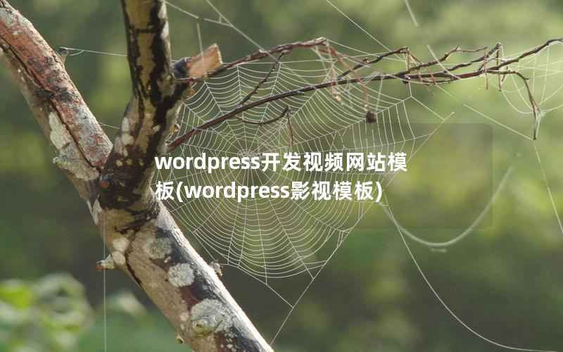 WordPress开发视频网站模板，WordPress影视模板