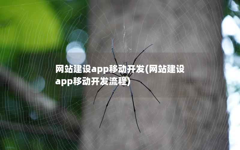网站建设app移动开发，网站建设app移动开发流程