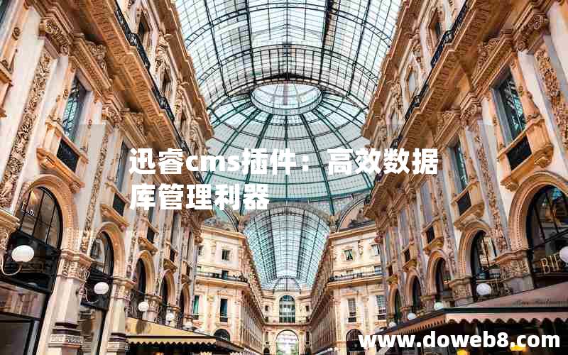 xunruicms插件：高效数据库管理利器