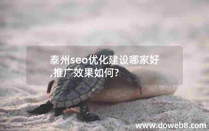 泰州seo优化建设哪家好,推广效果如何?