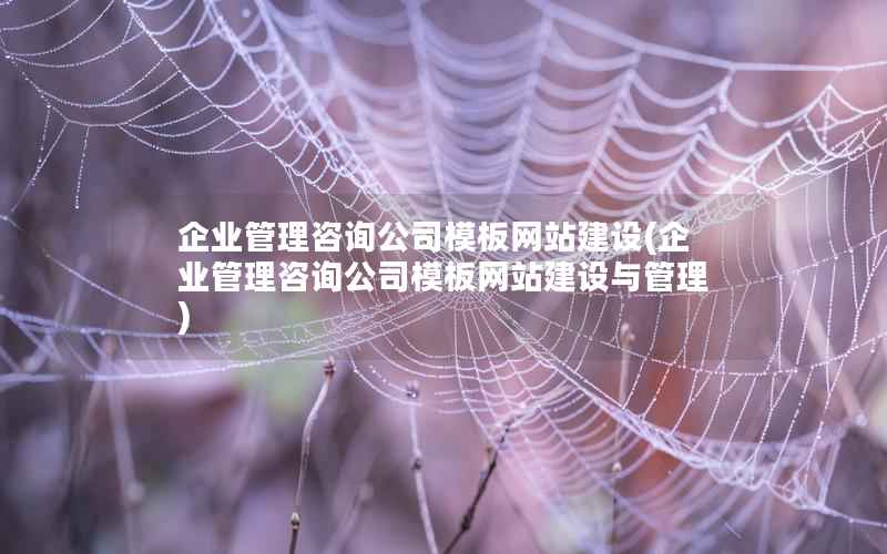 企业管理咨询公司模板网站建设，企业管理咨询公司模板网站建设与管理