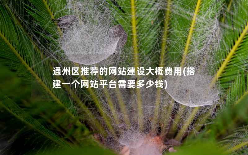 通州区推荐的网站建设大概费用，搭建一个网站平台需要多少钱