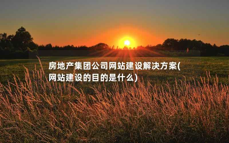 房地产集团公司网站建设解决方案，网站建设的目的是什么
