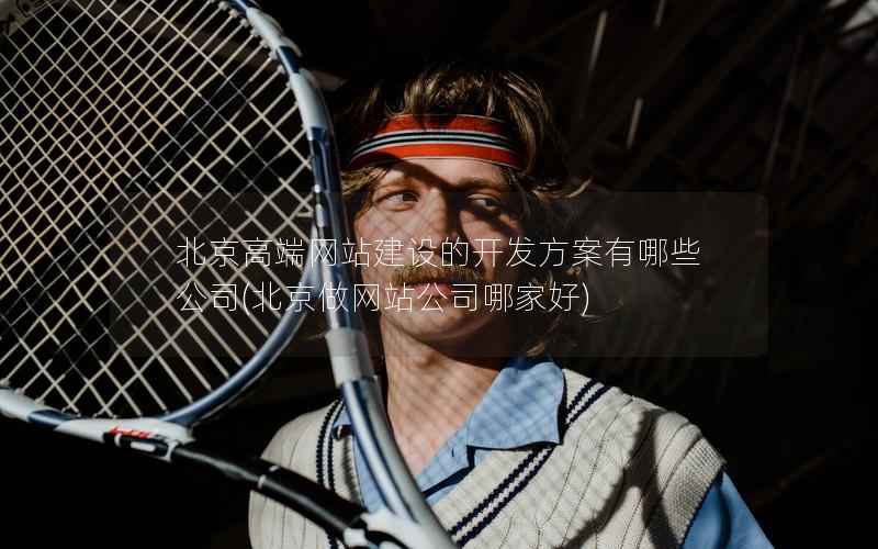 北京高端网站建设的开发方案有哪些公司，北京做网站公司哪家好