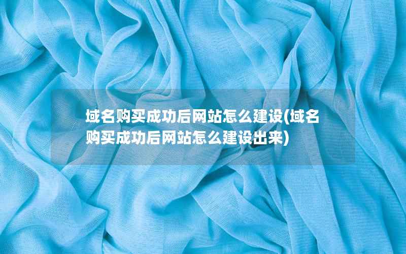 域名购买成功后网站怎么建设，域名购买成功后网站怎么建设出来
