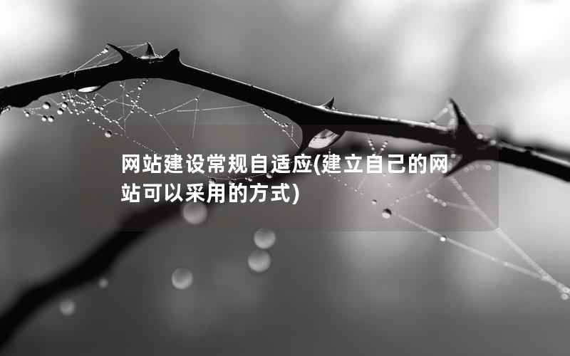 网站建设常规自适应，建立自己的网站可以采用的方式