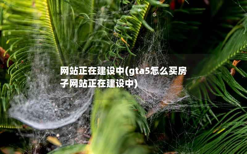 网站正在建设中，gta5怎么买房子网站正在建设中