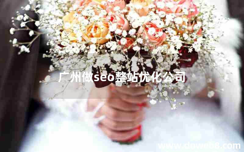 广州做seo整站优化公司