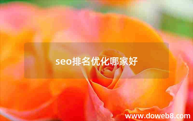 seo排名优化哪家好