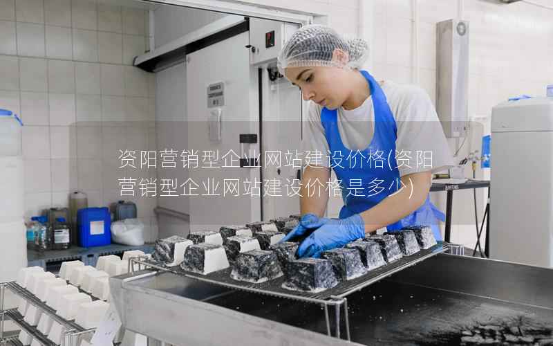 资阳营销型企业网站建设价格，资阳营销型企业网站建设价格是多少
